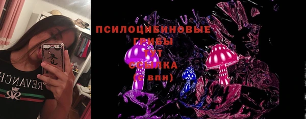 спайс Арсеньев