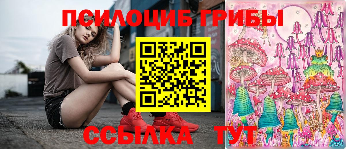 Галлюциногенные грибы Psilocybe Ахтубинск
