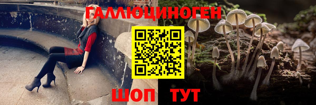 Галлюциногенные грибы прущие грибы  Вход с VPN  Ахтубинск 